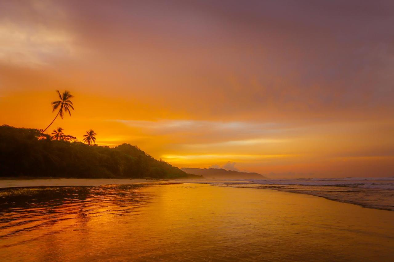 El Chante Surf House Playa Santa Teresa  Экстерьер фото