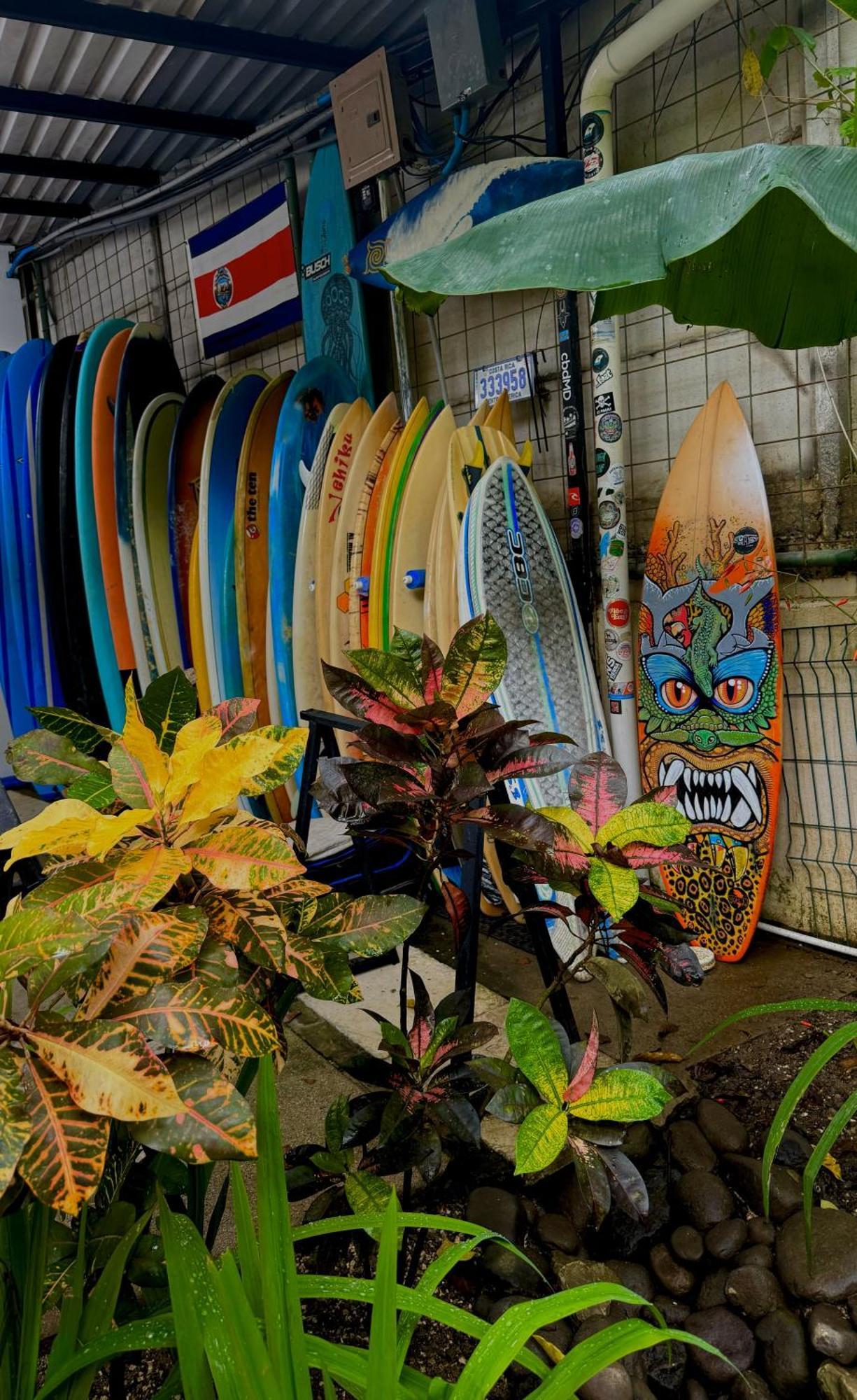El Chante Surf House Playa Santa Teresa  Экстерьер фото